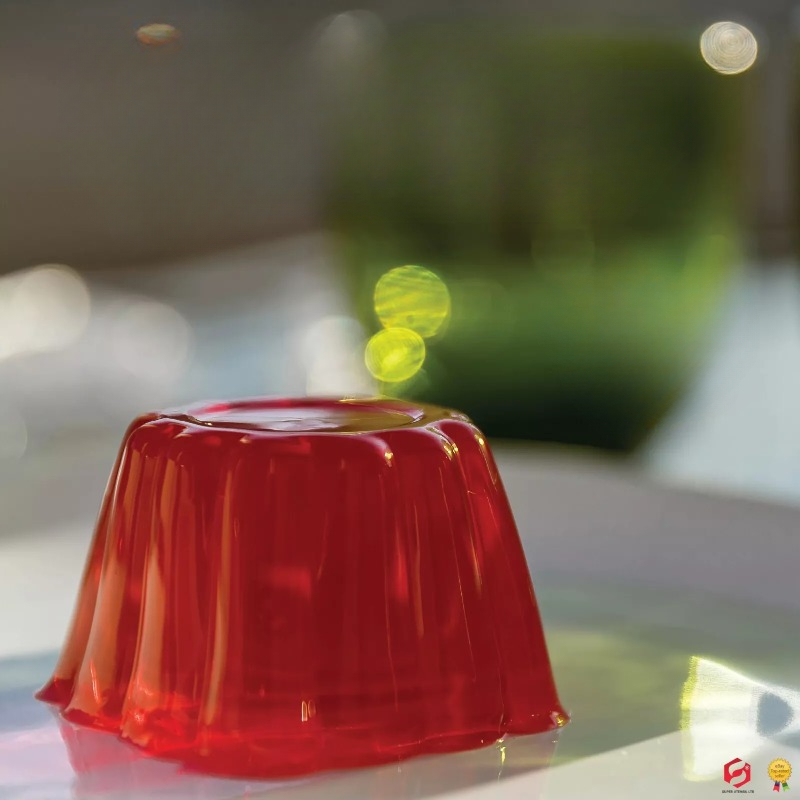 Pudding Cake Mold with Lid DIY - Baby Food Dessert ulasan dan harga